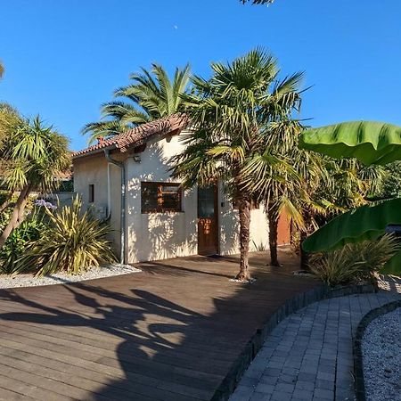 Guest House Au Milieu Des Palmiers Saint-Martin-de-Seignanx Exterior photo